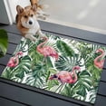 thumbnail image 4 of Pink Flamingo Washable Small Entryway Area Rugs 2'x3', Country Tropical Animal Green Monstera Leaf Plant Low Pile Throw Rug Non-Slip Sturdy Edge Binding Carpet for Front Door Floor Room Entry, 4 of 9