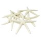 thumbnail image 1 of 12pcs White Finger Starfish 5-10cm Decorative Five-finger Starfish, 1 of 5