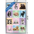 thumbnail image 3 of Keith Kimberlin - Puppies - Cuties Grid, 3 of 5