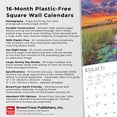 thumbnail image 6 of Florida Wild & Scenic 2025 12 X 24 Inch Monthly Square Wall Calendar Plastic-Free (Wall), 6 of 9