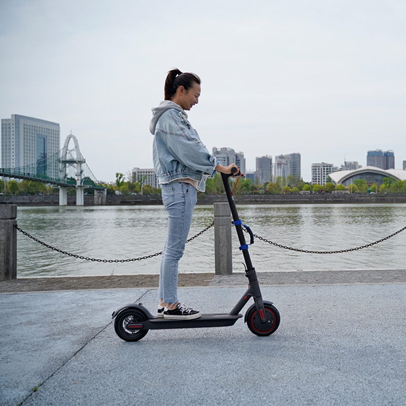 Houkiper Portable Xiaomi Electric Scooter Skateboard Hand Carrying Handle  Straps Belt Webbing Hook and Loop Fasteners | Walmart Canada