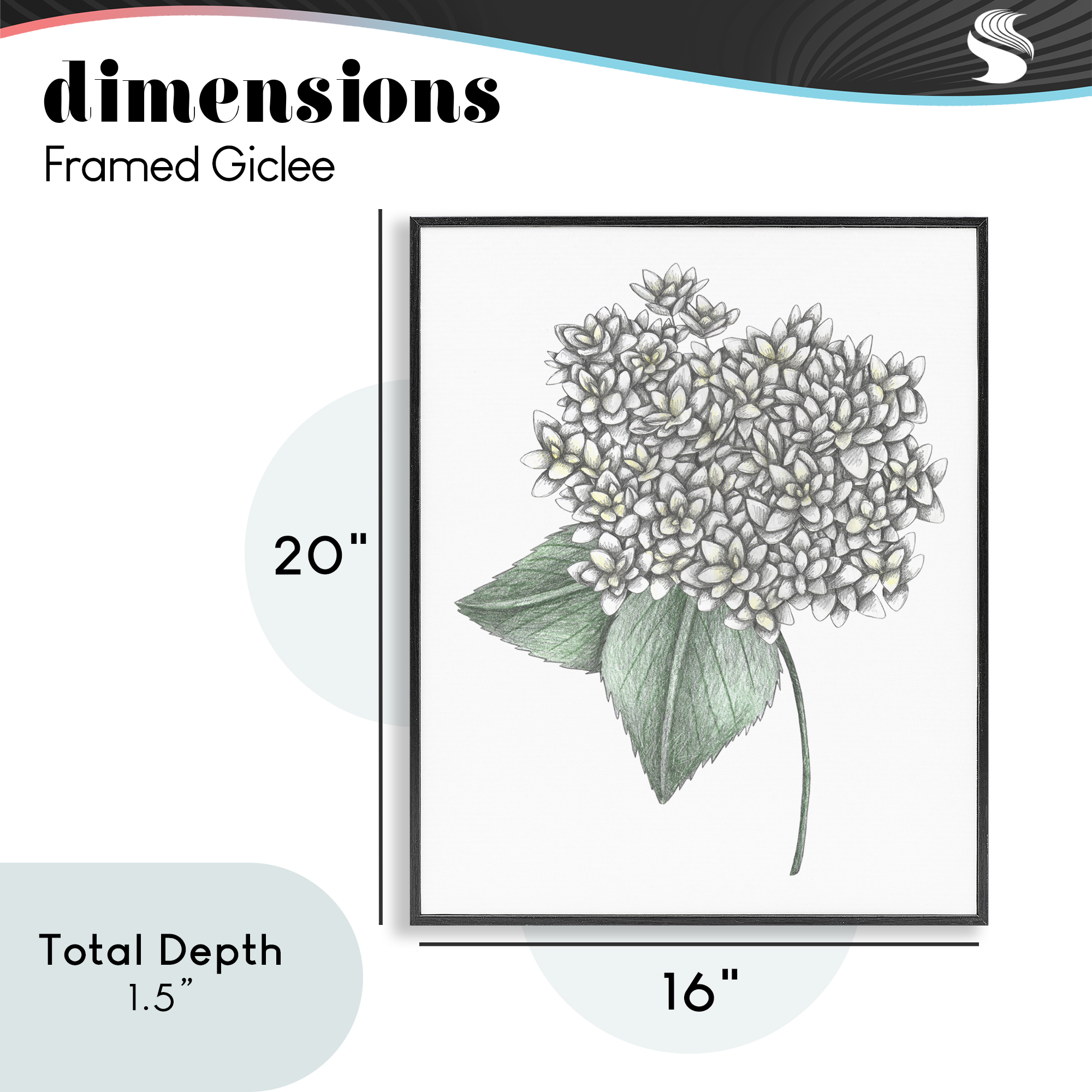 White Hydrangea Sketch Blossom Black Framed Giclee Art, design by Cecilia Battaini