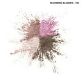 thumbnail image 4 of COVERGIRL Eyeshadow Quads, 4 of 4
