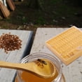 thumbnail image 2 of Beekeeping Cup Kit 120 Cell Cups Bee Tool Set Queen Rearing System Bee Nicot Complete Catcher Cage Apiculture Helper, 2 of 7