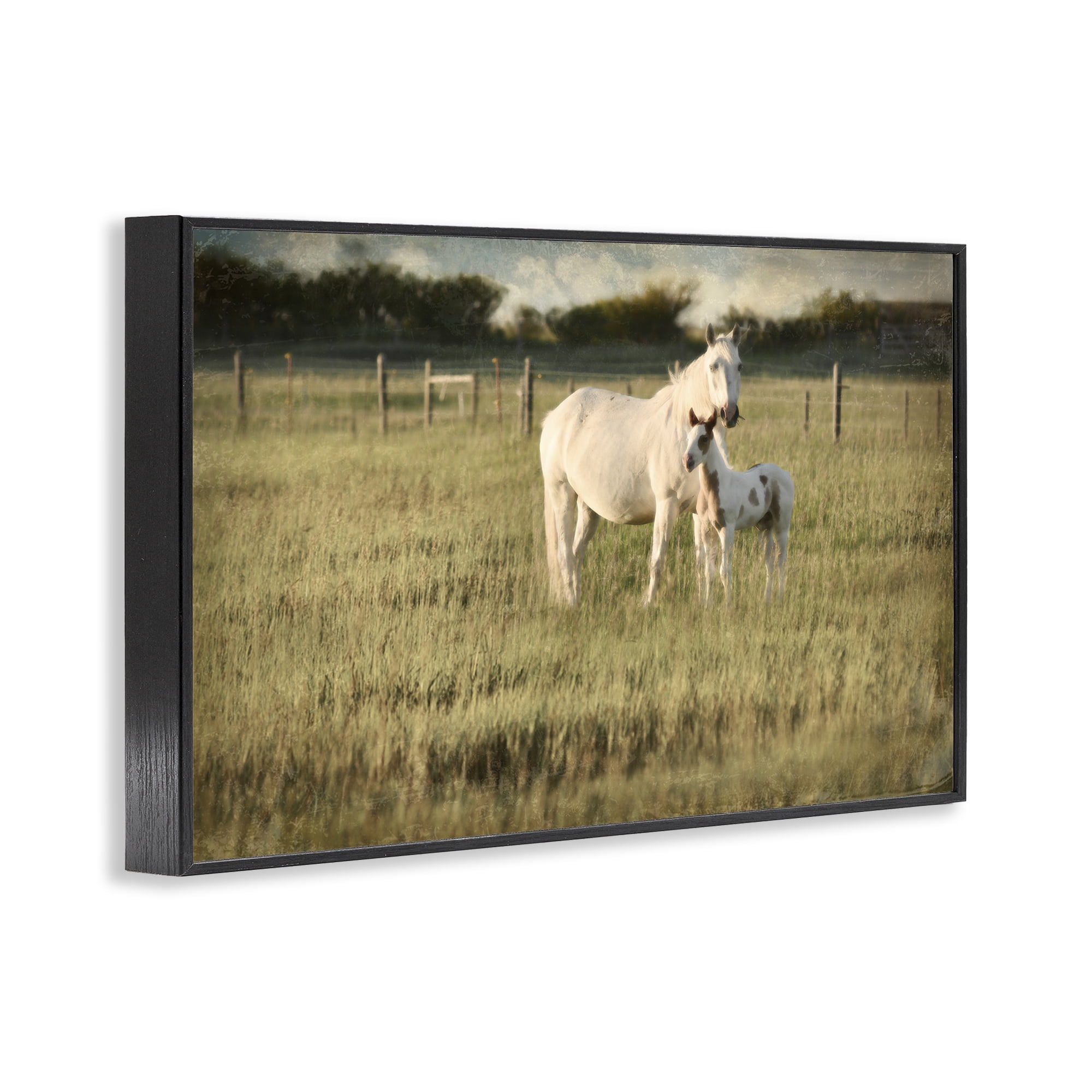 Stupell Industries Rural Horse and Foal Landscape Photography Black Framed Art Print Wall Art, 24 x 16