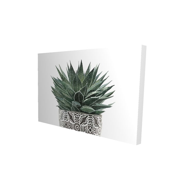 Plante Zébrée Succulente - Toile 24"x36 Pouces - Impression à la Demande