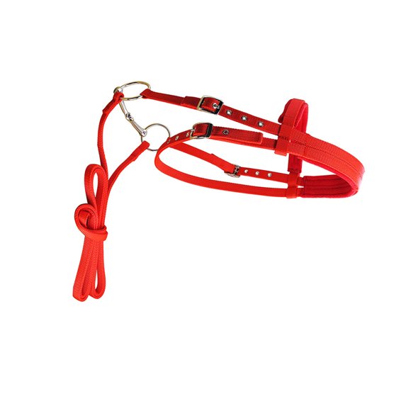 Brida ajustable para animales Advancent Rojo S