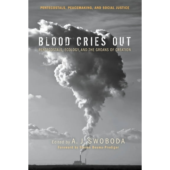 Pentecostals, Peacemaking, and Social Justice: Blood Cries Out (Paperback)