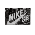 thumbnail image 2 of NIKE MENS SB Dunk Low "Wasted Youth - Special Box" DD8386 001a from Stadium Goods, 2 of 10
