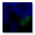 thumbnail image 1 of Sax True Flow Colorburst Glaze 1 Pt Lagoon Blue, 1 of 1