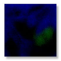 Sax Colorburst Glaze, Lagoon Blue, 1 Pint