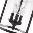 thumbnail image 4 of Beaumont Lane 3 Light Clear Glass Cage Pendant in Black, 4 of 5
