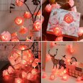 thumbnail image 2 of Billuyoard Luces rosas para una celebración romántica del Día de San Valentín, decoración de bodas, luces navideñas, cadena de luces Iluminación navideña rosa, 2 of 6