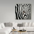thumbnail image 3 of Trademark Fine Art 'Zebra Face' Canvas Art by Cherie Roe Dirksen, 3 of 3