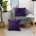 thumbnail image 2 of Holzlrgus Chenille Soft Throw Pillow Covers 18x18 Set of 2, Farmhouse Velvet Pillow Covers, Decorative Square Pillow Covers with Stitched Edge for Couch Sofa Bed, Petunia, 2 of 7