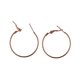 thumbnail image 5 of 20 Piezas Pendientes, para Los Oídos, s Franceses, Fornitura Pendiente Fabricación de Bricoje BLESIY  pendientes de aro grandes, 5 of 8