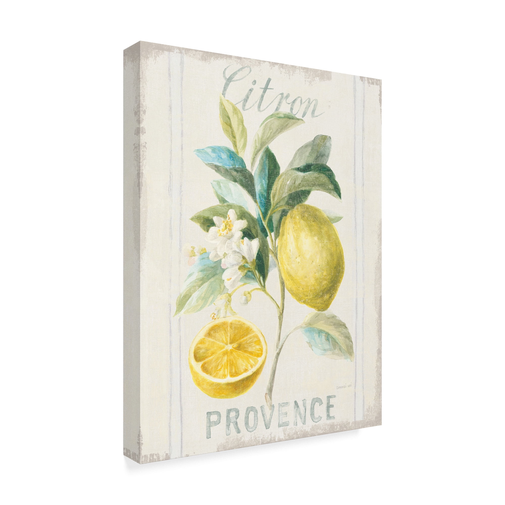 Trademark Fine Art 'Floursack Lemon IV' Canvas Art by Danhui Nai