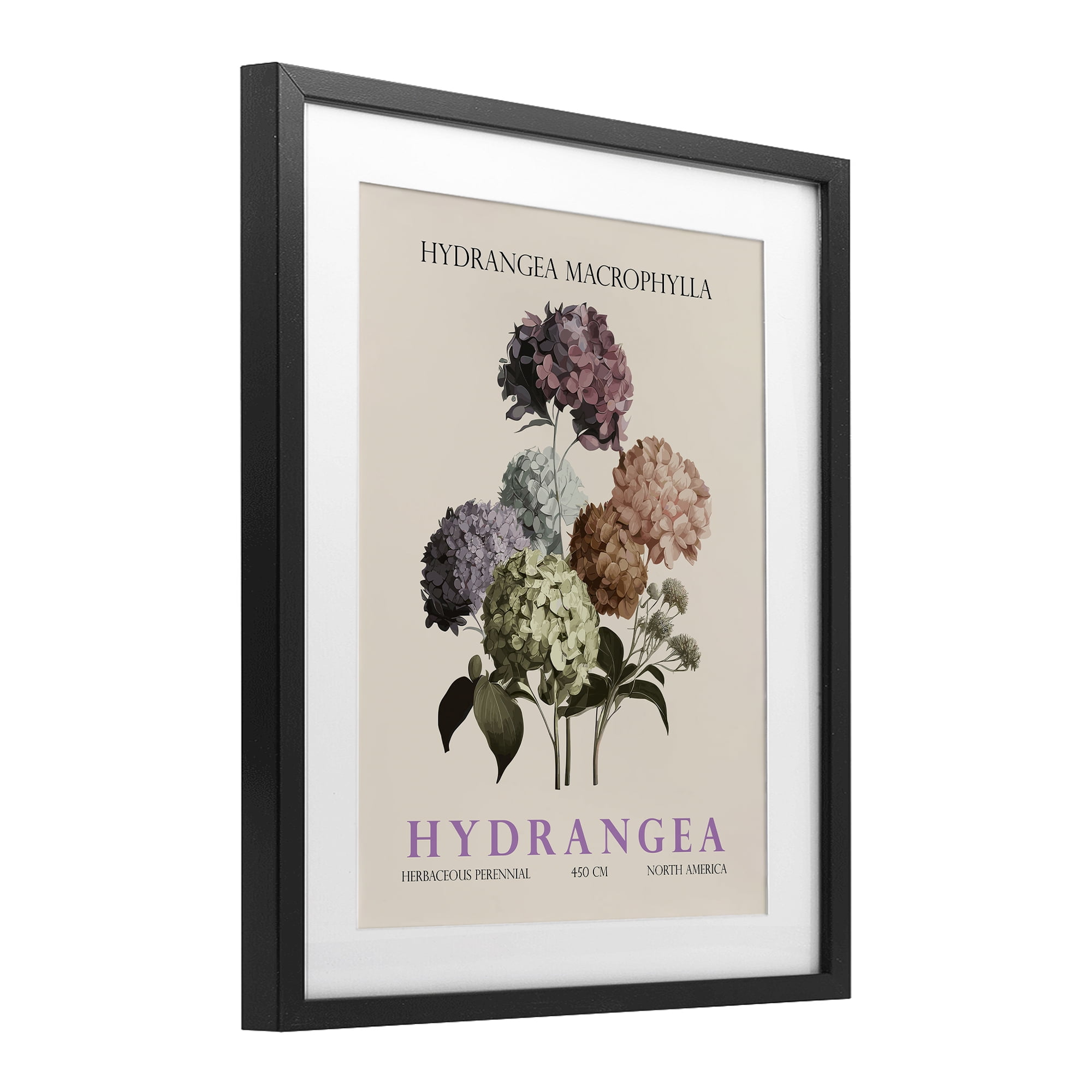 Stupell Industries Nature Hydrangea Bundle Black Framed Print Under Glass, design by Christopher Giampietro