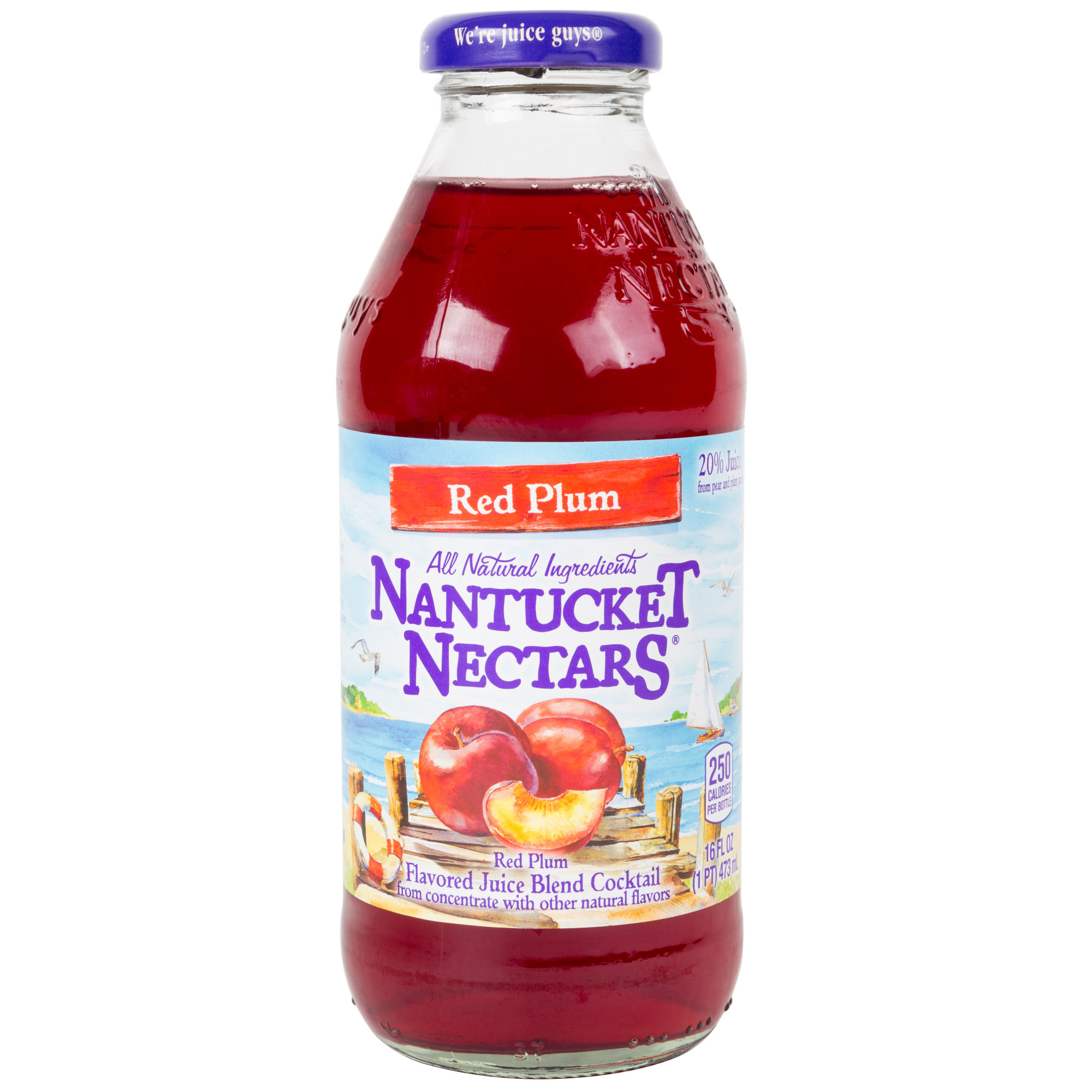 Nantucket Nectars 16 fl. oz. Red Plum Juice Cocktail 12/Case