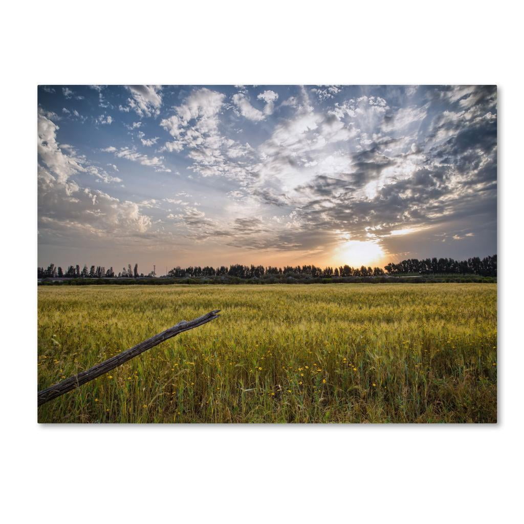 Trademark Fine Art "End of Day" Canvas Art by Giuseppe Torre