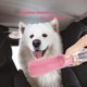 thumbnail image 5 of Botella de agua para perros rosa de 1 pieza: alimentador de agua para mascotas plegable portátil con recipiente para alimentos, compacto y liviano a prueba de fugas, adecuado para paseos con mascotas, viajes y caminatas JM, 5 of 5