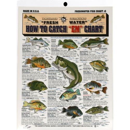 Fish Chart