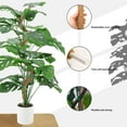 thumbnail image 3 of IC ICLOVER [Paquete de 4] Poste de Musgo para Plantas Monstera, Postes de Musgo Flexibles de 28 Pulgadas para Plantas Trellis de Interior, Estacas de Plantas de Jardín con Cinta para Plantas en Macetas, Potos, 3 of 7