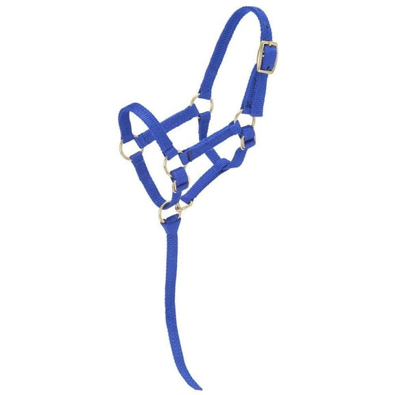 Tough1 Miniature Nylon Halter Md Royal Blue