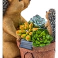 thumbnail image 3 of Plow & Hearth Solar Succulent Hedgehogs Flower Pot Garden Statue, 3 of 3