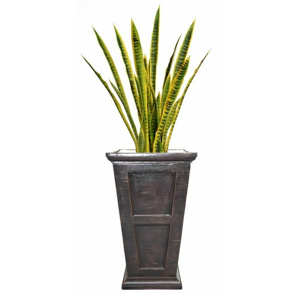 54 in. Tall Snake Plant in Planter