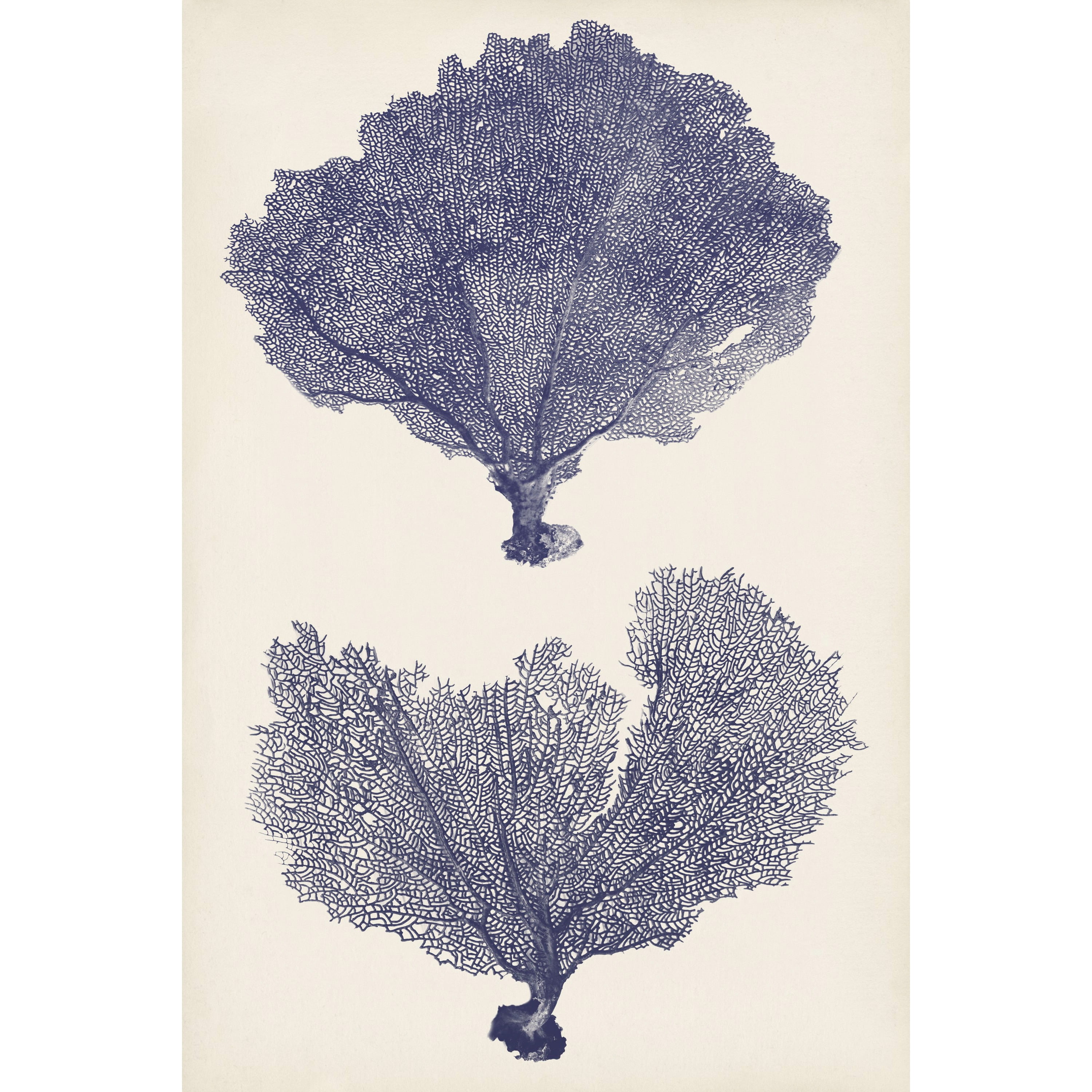 Marmont Hill "Indigo Seafans II" Painting Print on Wrapped Canvas
