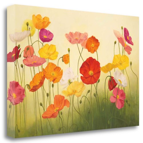 Tangletown Art, 24 x 17 "Sunlit Poppies " by Janelle Kroner, Gallery Wrap Canvas