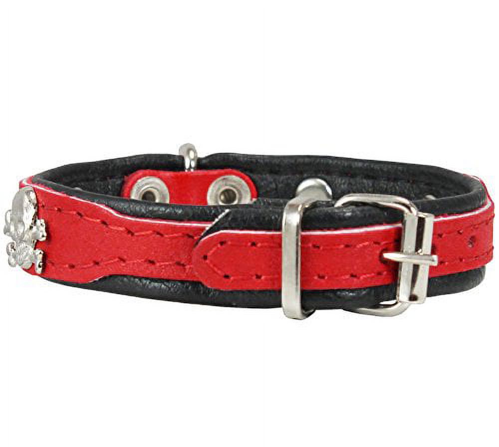 Black Genuine Leather Designer Dog Collar 11x3/4 with Studs