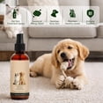 thumbnail image 6 of 100ml Anti-Itch Spray for Dogs Cats, Soothes Sensitive Skin Irritation Reduces Scratching Licking, Gentle Postbiotic Formula Daily Skin Coat Care for All Pet Breeds, 6 of 9