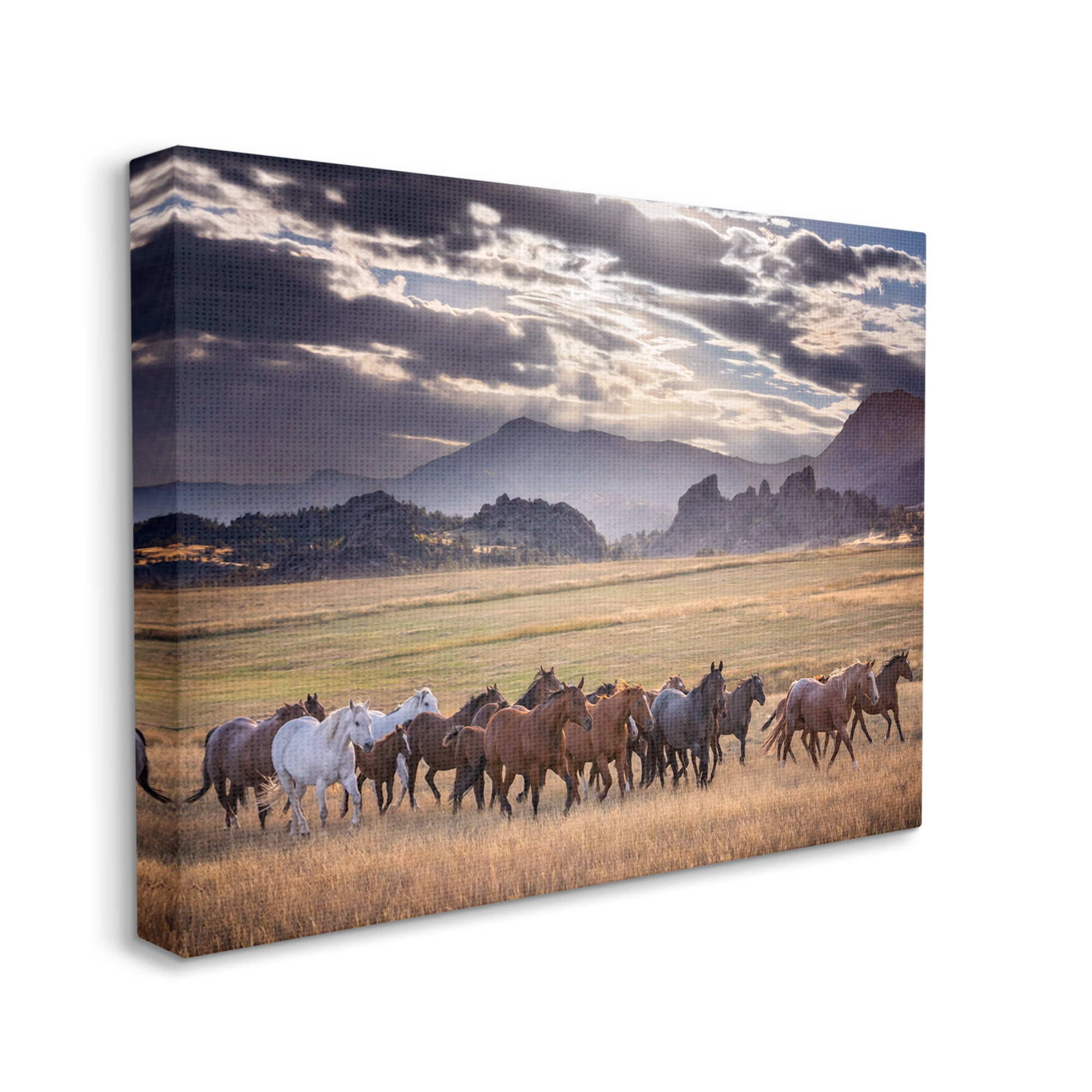 Stupell Industries Galloping Horses Cloudy Mountains Landscape Photography Gallery Wrapped Canvas Art Print Wall Art, 48 x 36