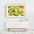 thumbnail image 5 of Sunlit Daisies - Photography Floral Flowers Botanical Nature Scenic Summer Abstract Oak Framed Wall Art Print 5 x 7 inches, 5 of 6