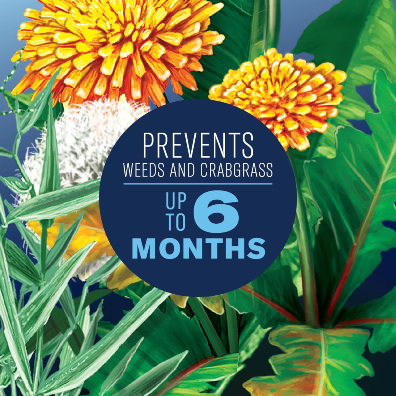 BioAdvanced Season Long Weed Killer Plus Preventer for Northern Lawns, Granules, 9.6 LB