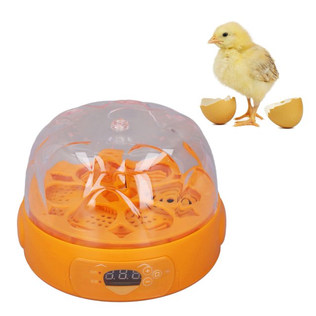 Incubadora De Huevos, Mini Incubadora Digital Con Volteo Automático De Huevos, Control De Temperatura, Pequeña Incubadora De 6 Huevos, Máquina Para Incubar Aves.