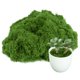 thumbnail image 1 of Musgo verde artificial para manualidades homekoey, 100 g, reutilizable, 1 of 6