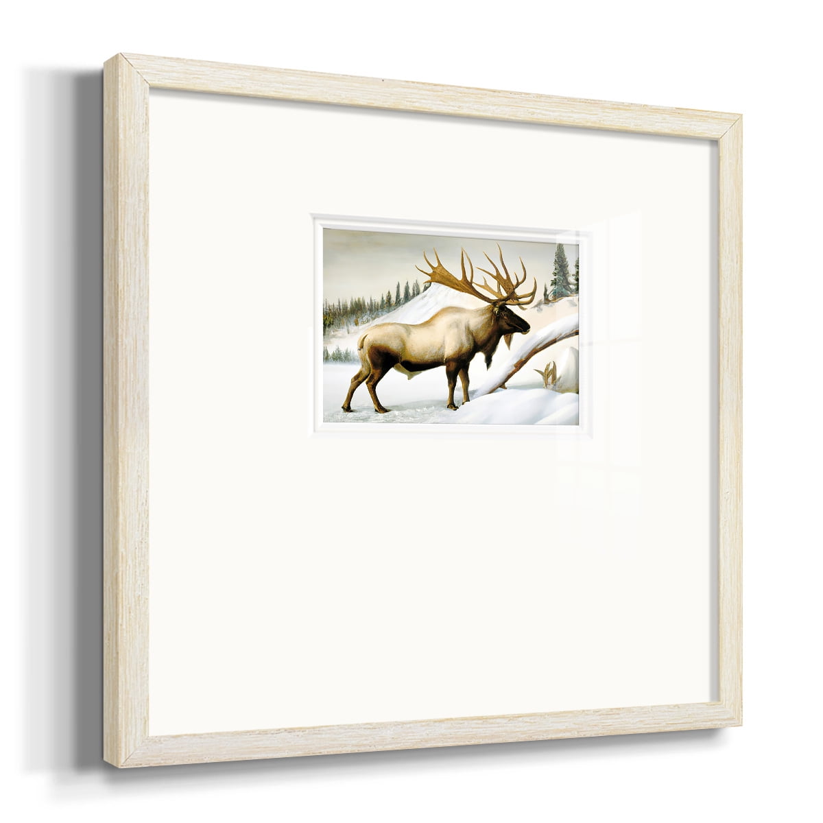 Snow ElkPremium Framed Print