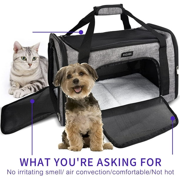 Pet carrier 2025 walmart canada