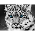 thumbnail image 2 of enqiretly Colorful Animal Diamond Painting Kits Rhinestone Wall Decoration Embroidery Cross Stitch Arts Craft, 2 of 7