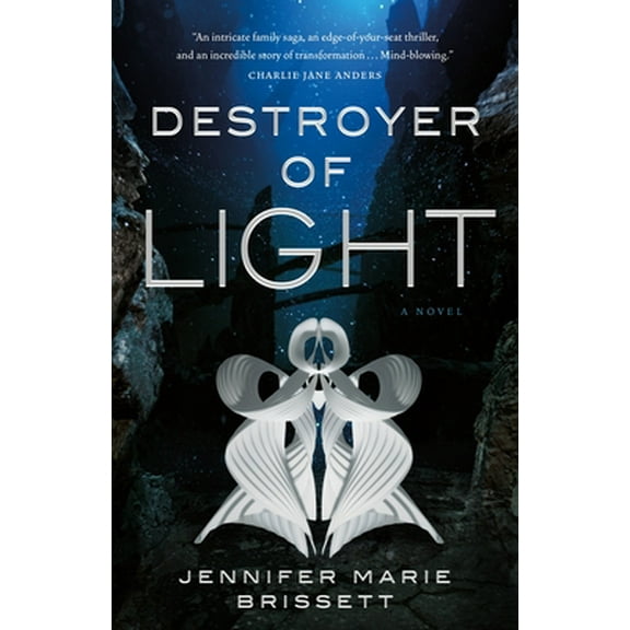 Pre-Owned Destroyer of Light (Hardcover) 1250268656 9781250268655