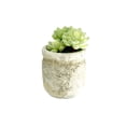 thumbnail image 6 of K-Cliffs Set of 3 Realistic Faux Artificial Succulent Plants in Rustic Cement Pot Planter, 6 of 10