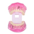 thumbnail image 4 of Modelo de dentadura postiza, modelo de dientes adultos transparentes, modelo de enseñanza de dientes, modelo dental, diseño de próxima generación, 4 of 8