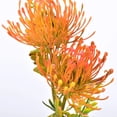 thumbnail image 2 of Bola de crisantemo Artificial, flor de Leucospermum, ramo de tallo, Hortensia de plástico para arreglos de boda, fiesta, decoración de jardín en casa, 2 of 4