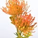 thumbnail image 2 of Bola de crisantemo Artificial, flor de Leucospermum, ramo de tallo, Hortensia de plástico para arreglos de boda, fiesta, decoración de jardín en casa, 2 of 4
