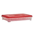 thumbnail image 2 of Buddeez Jumbo Egg Keeper Fridge Bin, 2 of 5