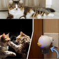 thumbnail image 5 of Blisso Pet Calming Pheromone Diffuser Kit Anti-Stress Anxiety Relief Calming Spray for Cats, 5 of 5