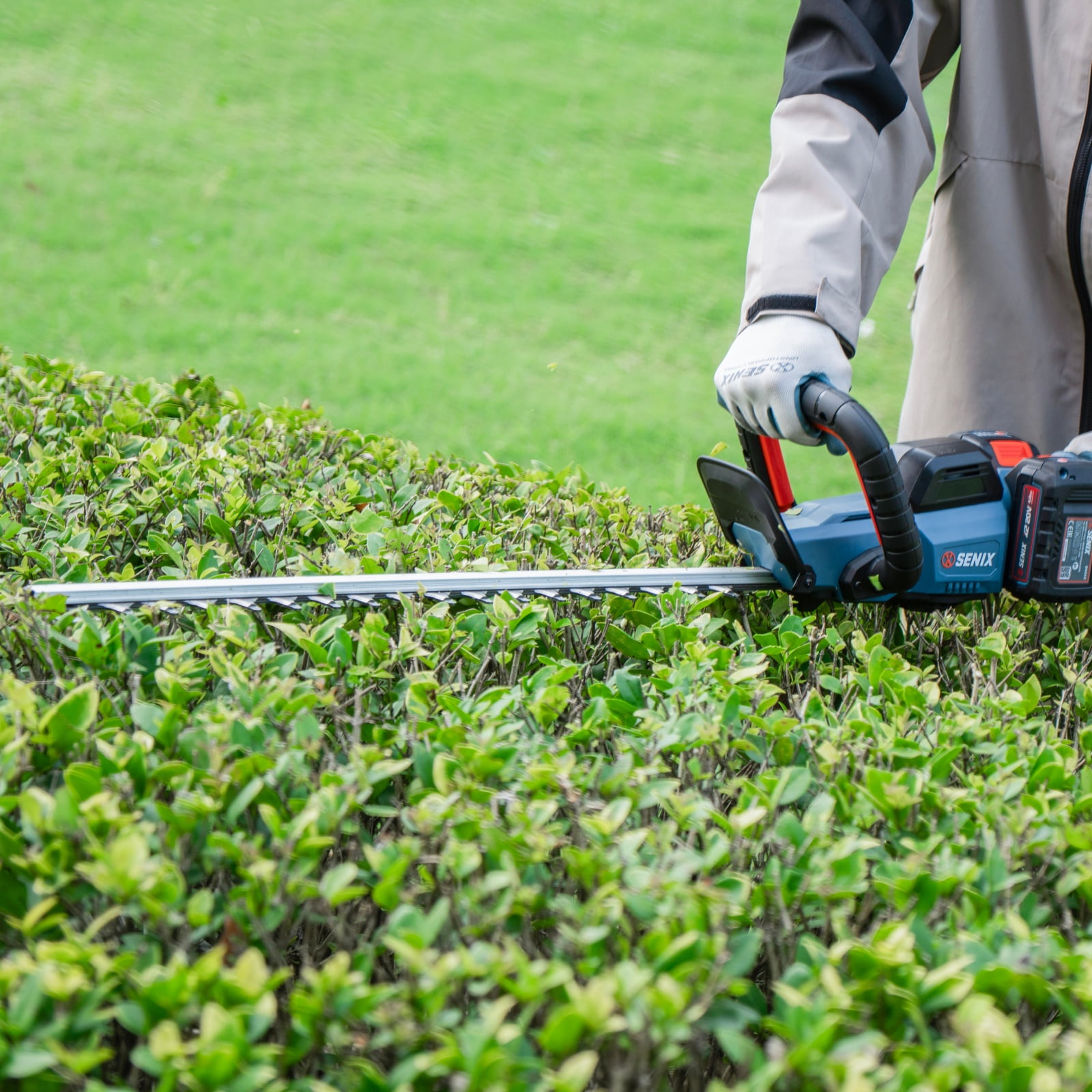 SENIX 40V Max 24-Inch Cordless Hedge Trimmer with 2 x 2.0Ah